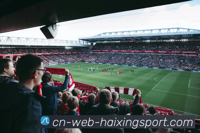 海星体育平台生态图