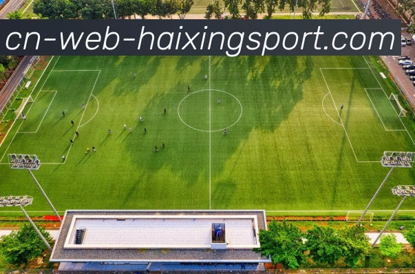 海星体育APP 封面图